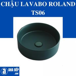 Tay sen Roland TS06