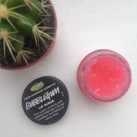 Tẩy tế bào chết môi Lush Lip Scrub