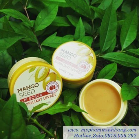 Tẩy tế bào chết môi Mango Seed Butter Lip Scrub The Face Shop