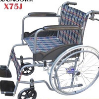 [TBYT ĐỨC NGA] Xe lăn cho người già, người khuyết tật Lucass X75J
