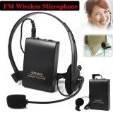 Bộ microphone Wireless WM-603