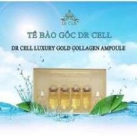 Tế Bào Gốc DR CELL