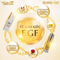 Tế bào gốc EGF