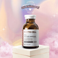 Tế Bào Gốc Hàn Quốc KyungLab Phyto Cell Pro Peptide Ampoule - 20ml