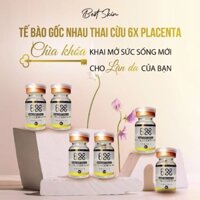 TẾ BÀO GỐC NHAU THAI CỪU 6X PLACENTA