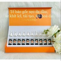 Tế bào gốc sẹo BSF 12 Reborn cell Hàn Quốc (Lẻ 1 lọ)