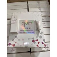TẾ BÀO GỐC ZNSP THẾ HỆ 2 CHUYÊN DÙNG CHO MÔI SAU XĂM