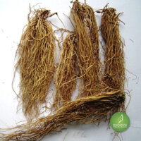 Tế tân – Thảo dược Bách An Khang JD341 tetan – Bách An Khang | Bachankhang.com | Thế giới thảo dược, đông trùng hạ thảo, yến sào Khánh Hòa