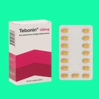 Tebonin 120mg