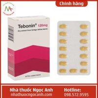 Tebonin 120mg