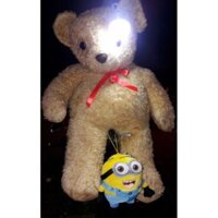 Teddy 1m tặng kèm minion