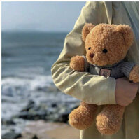 Teddy bears capybara teddy bears mini teddy bears toys Búp Bê Gấu Dễ Thương Sang Trọng Đồ Chơi Mặc Quần Áo Gấu Bông Ragdoll Búp Bê Ôm Gấu Gửi Bé Gái Quà Tặng Sinh Nhật