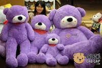 Teddy Boydz Mắt Nhắm