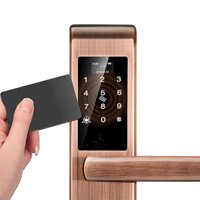 Teerwere Fingerprint Lock Bluetooth Gateway APP Door Lock Fingerprint Password Smart Lock Magcard Lock Smart Door Lock Set Keyless Entry (Color : Gold, Size : One...