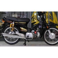 TEM CHẾ DREAM KIỂNG EX5