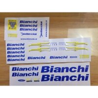 tem decal dán xe đạp cố điển bianchi megaro |cheetahdecals.com