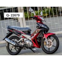 tem ex 2010 135