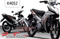 Tem Exciter R 135