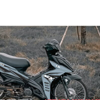 TEM GALAXY 50 MX KING DECAL 3A