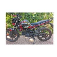 TEM KIMCO KPIPE CÁ MẬP ĐEN ĐỎ ĐẸP NHẤT , TEM THIẾT KẾ  3 LỚP SIÊU SẮC NÉT