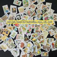Tem Quốc Tế - 100 Con Tem Với Chủ Đề Các loài Nấm, Rau, Củ, Quả