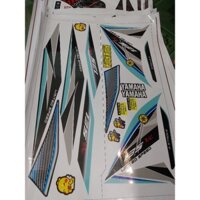 Tem rời dán xe ex 135 xe trắng đầu đen