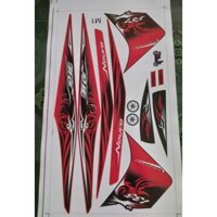 Tem rời dán xe novo4