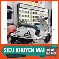 Tem Rời Dán Xe Vespa Trắng Sprint