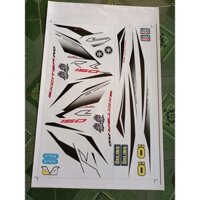 tem rời ex 150 RC 2019 đen xe trắng