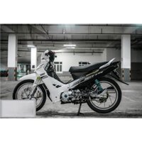 Tem rời Sirius 2014 trắng đen sọc (P) -1