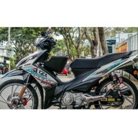 Tem Rời Suzuki Axelo 125 Xám Phối Xanh Ngọc