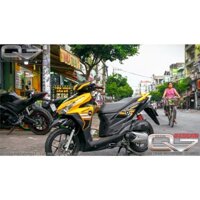 Tem rời vario 2016 - decalq7
