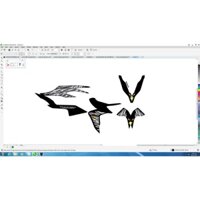 tem rời vario đen chim đại bàng