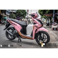 tem rời vision hồng