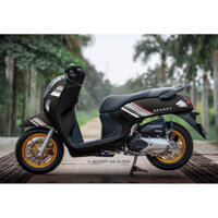 Tem Scoopy 2025