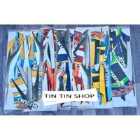 TEM SƯỜN 3 LỚP SATRIA 2006 TTS