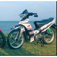 Tem trùm Sirius ♦FREESHIP♦ cá mập trắng đỏ đen rc, độ team decal xe máy si spark rẻ đẹp