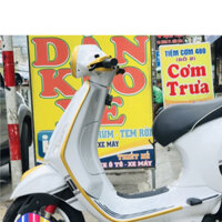 TEM VESPA 2014 CHRISTIAN DIOR DECAL 3A