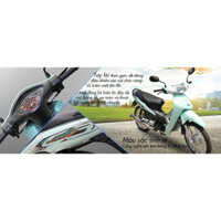 TEM WAVE ESPERO ZIN XANH, TEM CHẾ CAO CẤP 3 LỚP SIÊU DÍNH