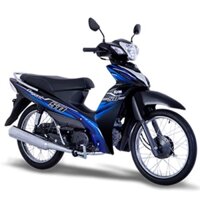 Tem xe elegant 50 xanh đen