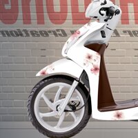 Tem Xe Honda Vision Hồng Trắng Hoa Đào