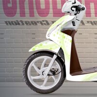 Tem Xe Honda Vision Xanh Trắng