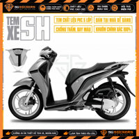 Tem Xe SH Chỉ AMG Đời 2012 2016 2019 2020 2021 2022 | SH08 | Team Decal Hình Dán SH 150i 125i Đẹp Nhất Bền Màu