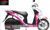 Tem Xe Vision Hồng Trắng Hello Kitty