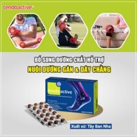 Tendoactive - Phục hồi tổn thương gân, dây chằng