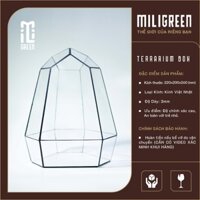 Terrarium, Bể kính Terrarium, Bể kính, Trang trí Terrarium, Setup bàn làm việc, Kính tự lắp (Kèm keo dán) PT12