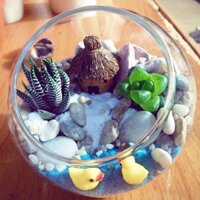 Terrarium: Concept "Túp lều bên hồ"