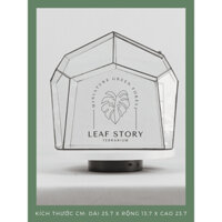 Terrarium mini bình thủy tinh trồng cây tiểu cảnh để bàn ( mẫu C306 tặng đất kết dính)
