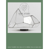 Terrarium mini bình thủy tinh trồng cây tiểu cảnh để bàn ( mẫu C177 tặng đất kết dính)
