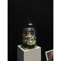Terrarium " Ngũ Hành Sơn Tâm "